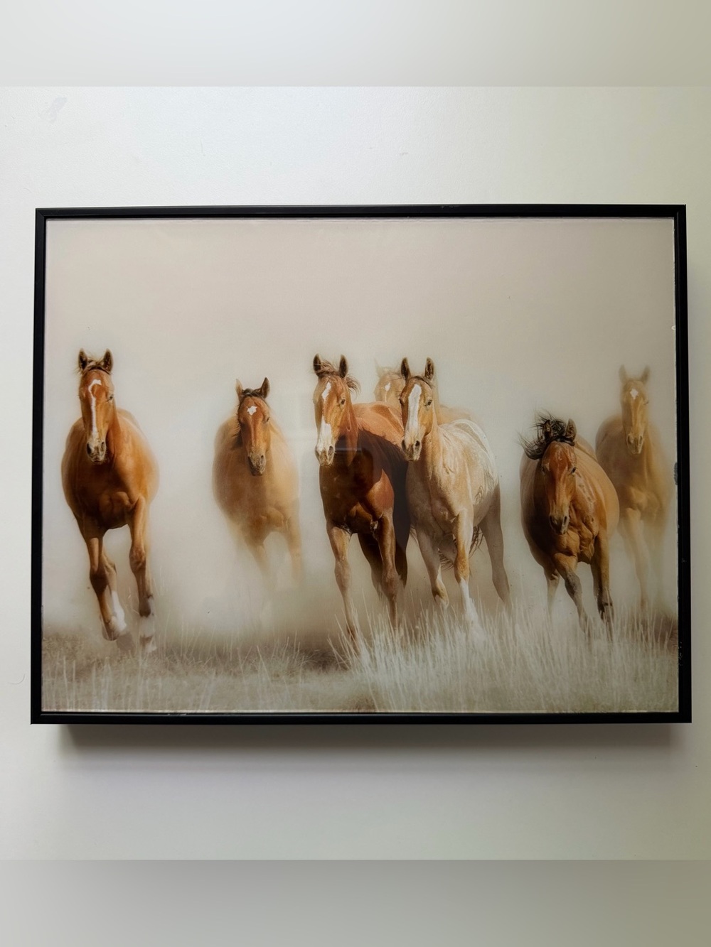 Galloping Horses Wall Art 14x11